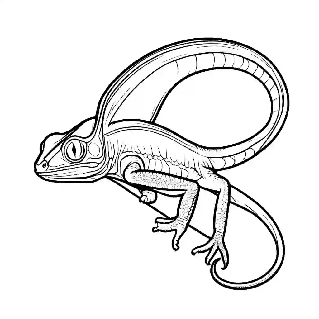 Reptiles and Amphibians_Veiled Chameleon_5193_.webp